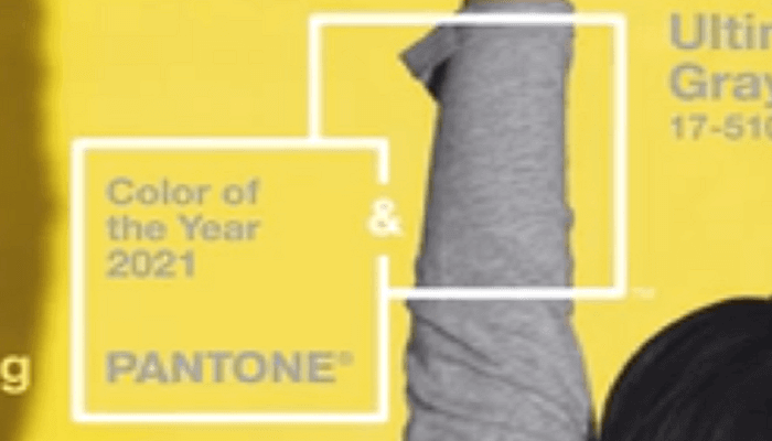Kleuren van het jaar 2021 door Pantone